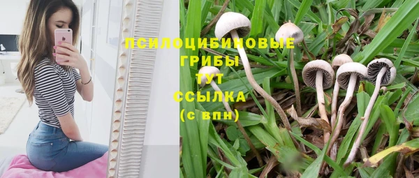 герыч Переславль-Залесский