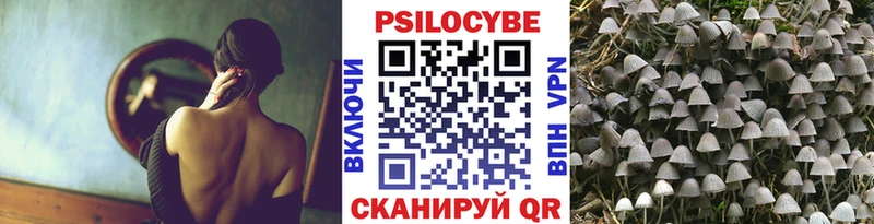 Псилоцибиновые грибы MAGIC MUSHROOMS  что такое   Зеленоградск 